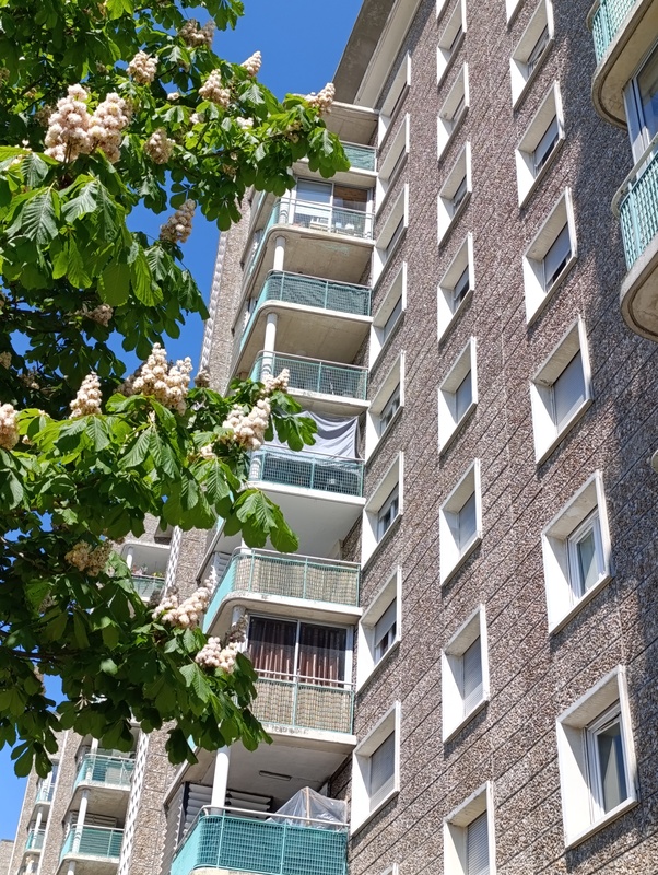 Crédit photo : cerema Sotteville-lès-Rouen, espace Lods